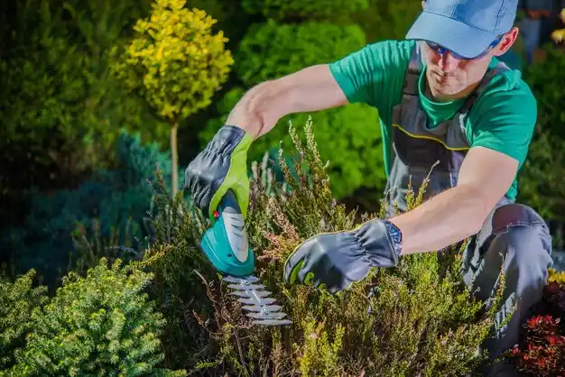landscaping services Rockford